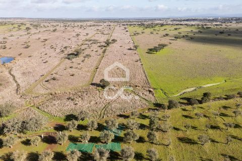 Terra a Alandroal, Evora, Alandroal - € 85.000 | Ref: 318/T/03755 - foto 39
