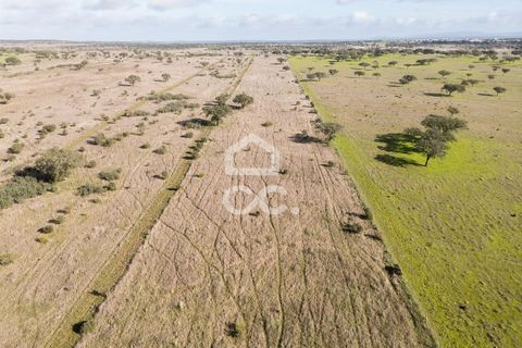 Terra a Alandroal, Evora, Alandroal - € 85.000 | Ref: 318/T/03755 - foto 40