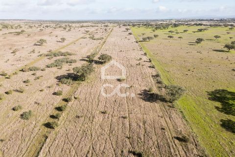 Terra a Alandroal, Evora, Alandroal - € 85.000 | Ref: 318/T/03755 - foto 41
