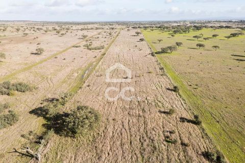 Terra a Alandroal, Evora, Alandroal - € 85.000 | Ref: 318/T/03755 - foto 42