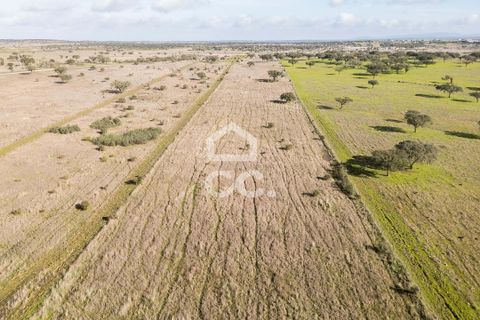 Terra a Alandroal, Evora, Alandroal - € 85.000 | Ref: 318/T/03755 - foto 43