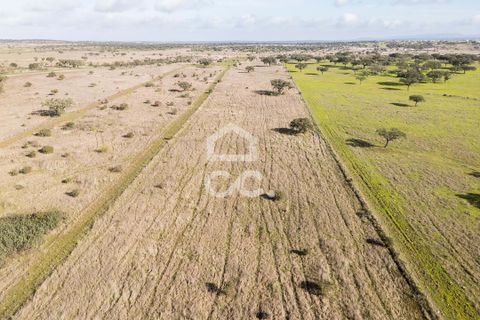 Terra a Alandroal, Evora, Alandroal - € 85.000 | Ref: 318/T/03755 - foto 44
