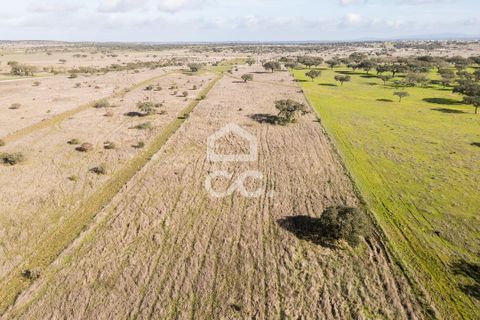 Terra a Alandroal, Evora, Alandroal - € 85.000 | Ref: 318/T/03755 - foto 45