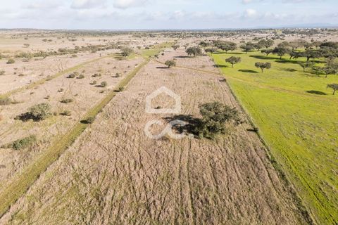 Terra a Alandroal, Evora, Alandroal - € 85.000 | Ref: 318/T/03755 - foto 46