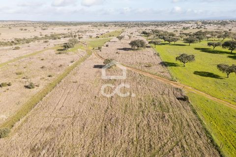Terra a Alandroal, Evora, Alandroal - € 85.000 | Ref: 318/T/03755 - foto 47