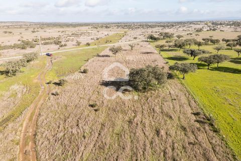 Terra a Alandroal, Evora, Alandroal - € 85.000 | Ref: 318/T/03755 - foto 48