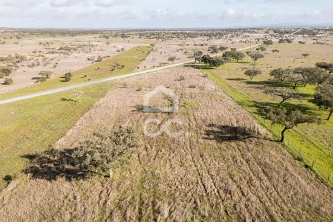 Terra a Alandroal, Evora, Alandroal - € 85.000 | Ref: 318/T/03755 - foto 49