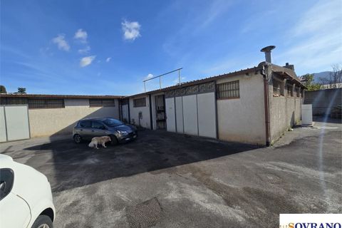 Erhvervsejendom i Palermo, Palermo, Palermo - € 550.000 | Ref: U 166/25 - foto 5