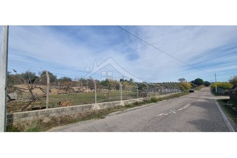 Helårsgrund i Castelo Branco, Castelo Branco, Castelo Branco - € 58.000 | Ref: SÒL_181 - foto 1