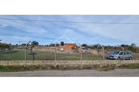 Helårsgrund i Castelo Branco, Castelo Branco, Castelo Branco - € 58.000 | Ref: SÒL_181 - foto 2