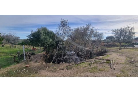 Helårsgrund i Castelo Branco, Castelo Branco, Castelo Branco - € 58.000 | Ref: SÒL_181 - foto 4