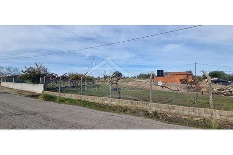 Helårsgrund i Castelo Branco, Castelo Branco, Castelo Branco - € 58.000 | Ref: SÒL_181 - foto 5
