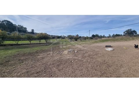 Helårsgrund i Castelo Branco, Castelo Branco, Castelo Branco - € 58.000 | Ref: SÒL_181 - foto 7