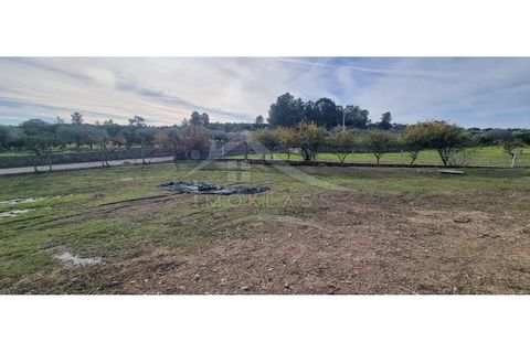 Helårsgrund i Castelo Branco, Castelo Branco, Castelo Branco - € 58.000 | Ref: SÒL_181 - foto 8