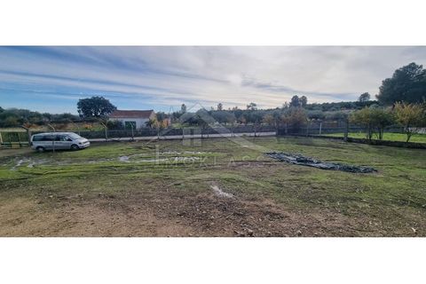 Helårsgrund i Castelo Branco, Castelo Branco, Castelo Branco - € 58.000 | Ref: SÒL_181 - foto 9