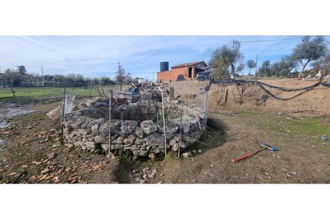 Helårsgrund i Castelo Branco, Castelo Branco, Castelo Branco - € 58.000 | Ref: SÒL_181 - foto 17