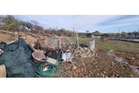 Helårsgrund i Castelo Branco, Castelo Branco, Castelo Branco - € 58.000 | Ref: SÒL_181 - foto 18