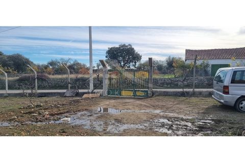 Helårsgrund i Castelo Branco, Castelo Branco, Castelo Branco - € 58.000 | Ref: SÒL_181 - foto 19