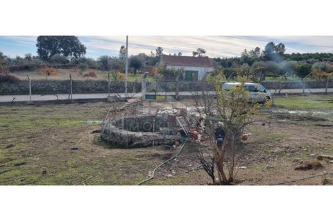 Helårsgrund i Castelo Branco, Castelo Branco, Castelo Branco - € 58.000 | Ref: SÒL_181 - foto 22