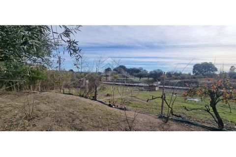 Helårsgrund i Castelo Branco, Castelo Branco, Castelo Branco - € 58.000 | Ref: SÒL_181 - foto 24