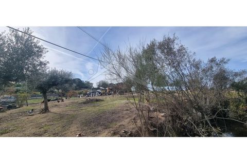 Helårsgrund i Castelo Branco, Castelo Branco, Castelo Branco - € 58.000 | Ref: SÒL_181 - foto 26