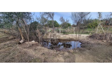 Helårsgrund i Castelo Branco, Castelo Branco, Castelo Branco - € 58.000 | Ref: SÒL_181 - foto 27