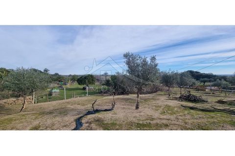 Helårsgrund i Castelo Branco, Castelo Branco, Castelo Branco - € 58.000 | Ref: SÒL_181 - foto 31