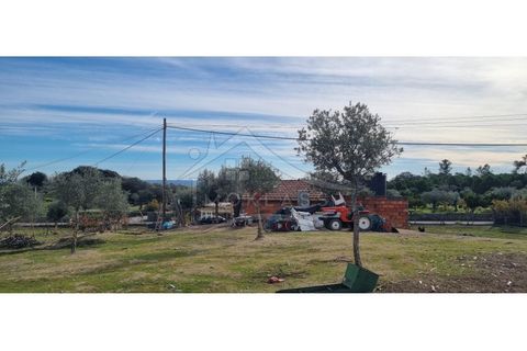 Helårsgrund i Castelo Branco, Castelo Branco, Castelo Branco - € 58.000 | Ref: SÒL_181 - foto 35