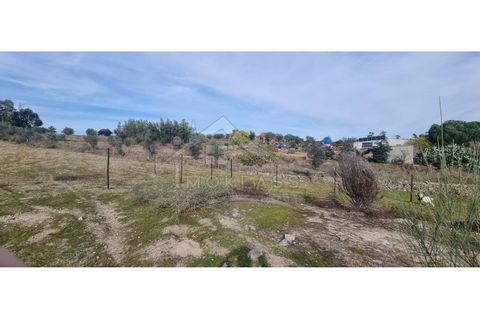 Helårsgrund i Castelo Branco, Castelo Branco, Castelo Branco - € 58.000 | Ref: SÒL_181 - foto 36
