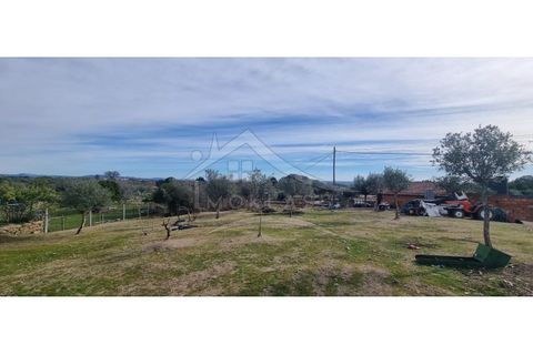 Helårsgrund i Castelo Branco, Castelo Branco, Castelo Branco - € 58.000 | Ref: SÒL_181 - foto 37