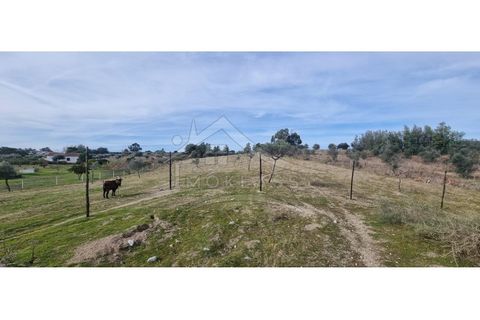 Helårsgrund i Castelo Branco, Castelo Branco, Castelo Branco - € 58.000 | Ref: SÒL_181 - foto 38