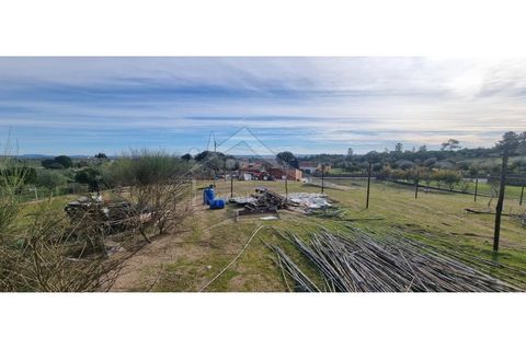 Helårsgrund i Castelo Branco, Castelo Branco, Castelo Branco - € 58.000 | Ref: SÒL_181 - foto 39