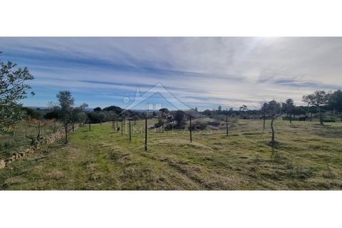 Helårsgrund i Castelo Branco, Castelo Branco, Castelo Branco - € 58.000 | Ref: SÒL_181 - foto 41