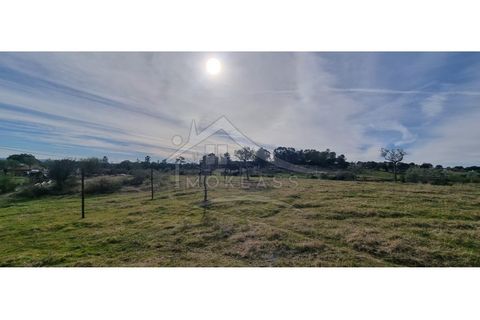 Helårsgrund i Castelo Branco, Castelo Branco, Castelo Branco - € 58.000 | Ref: SÒL_181 - foto 42