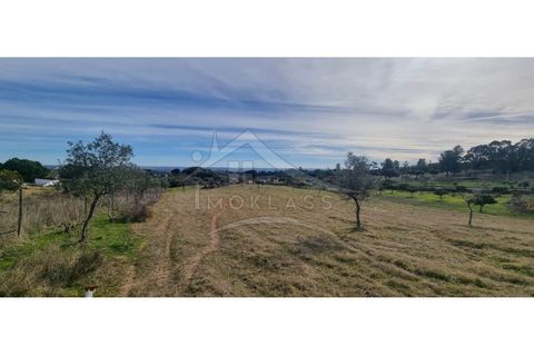 Helårsgrund i Castelo Branco, Castelo Branco, Castelo Branco - € 58.000 | Ref: SÒL_181 - foto 43