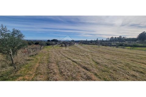 Helårsgrund i Castelo Branco, Castelo Branco, Castelo Branco - € 58.000 | Ref: SÒL_181 - foto 44