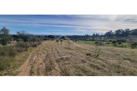 Helårsgrund i Castelo Branco, Castelo Branco, Castelo Branco - € 58.000 | Ref: SÒL_181 - foto 46