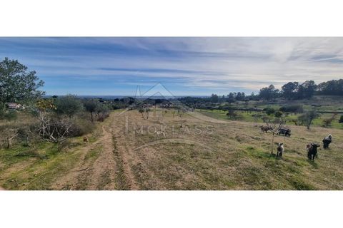 Helårsgrund i Castelo Branco, Castelo Branco, Castelo Branco - € 58.000 | Ref: SÒL_181 - foto 47