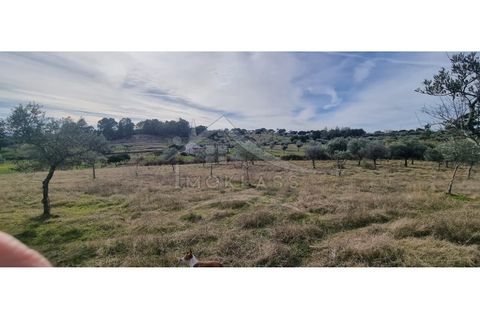 Helårsgrund i Castelo Branco, Castelo Branco, Castelo Branco - € 58.000 | Ref: SÒL_181 - foto 49