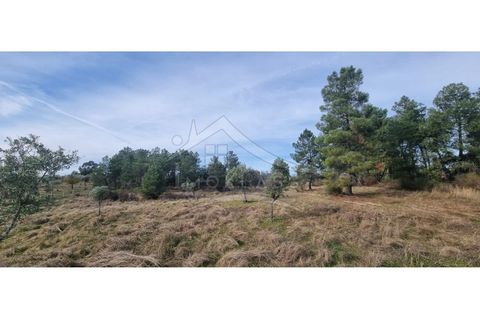 Helårsgrund i Castelo Branco, Castelo Branco, Castelo Branco - € 58.000 | Ref: SÒL_181 - foto 50