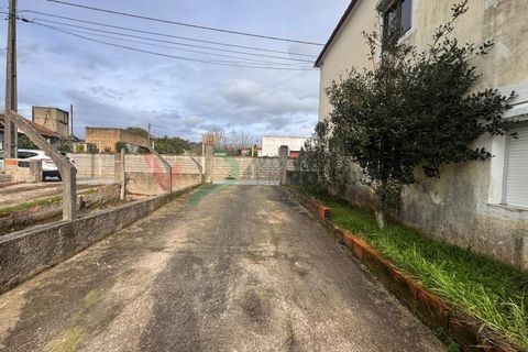 Villa a Sangalhos, Aveiro, Sangalhos - € 169.000 | Ref: HAB_195 - foto 16