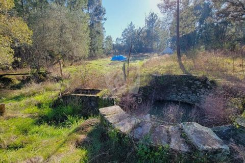 Helårsgrund i Castelo Branco, Castelo Branco, Castelo Branco - € 30.000 | Ref: H761 - foto 2