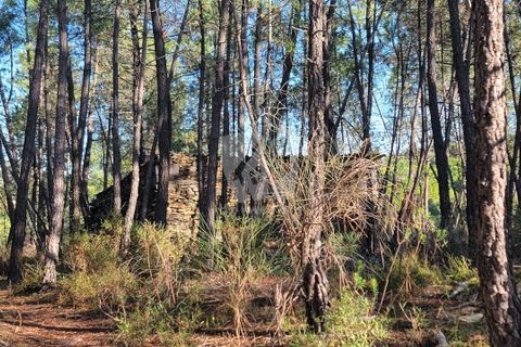 Helårsgrund i Castelo Branco, Castelo Branco, Castelo Branco - € 30.000 | Ref: H761 - foto 3