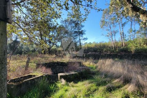 Helårsgrund i Castelo Branco, Castelo Branco, Castelo Branco - € 30.000 | Ref: H761 - foto 27