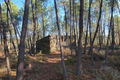 Helårsgrund i Castelo Branco, Castelo Branco, Castelo Branco - € 30.000 | Ref: H761 - foto 37