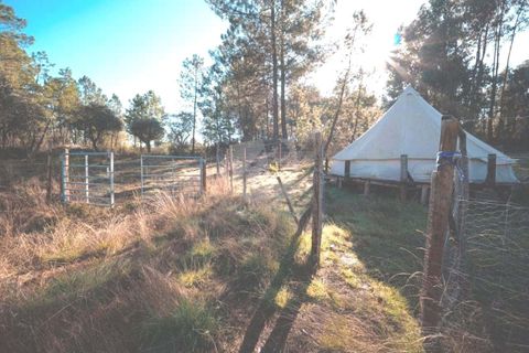 Helårsgrund i Castelo Branco, Castelo Branco, Castelo Branco - € 30.000 | Ref: H761 - foto 30
