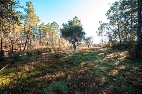 Helårsgrund i Castelo Branco, Castelo Branco, Castelo Branco - € 30.000 | Ref: H761 - foto 32