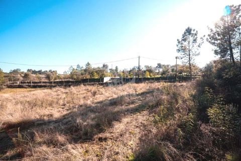 Helårsgrund i Castelo Branco, Castelo Branco, Castelo Branco - € 30.000 | Ref: H761 - foto 34