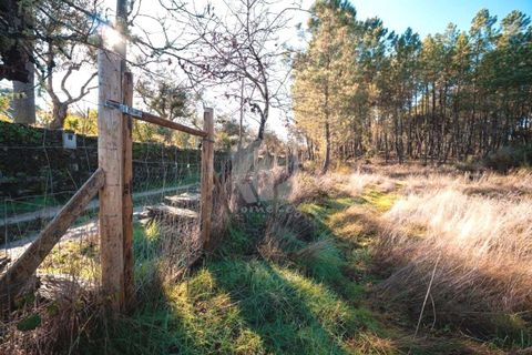 Helårsgrund i Castelo Branco, Castelo Branco, Castelo Branco - € 30.000 | Ref: H761 - foto 35