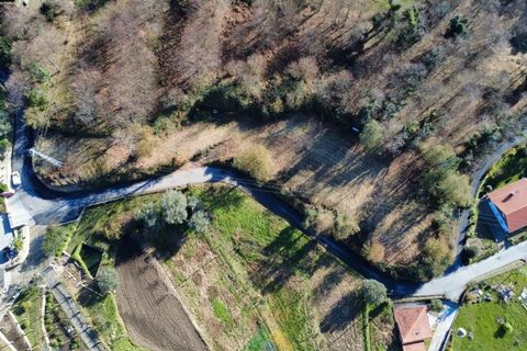 Helårsgrund i Ponte de Lima, Viana do Castelo, Ponte de Lima - € 95.000 | Ref: AVV-002-026 - foto 3
